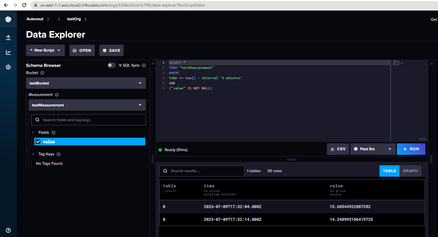 "Screenshot showing the InfluxDB Explorer"